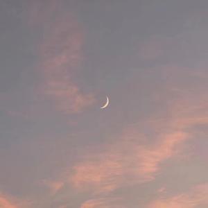 sm超虐调教视频
